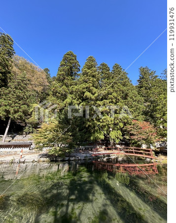 奈良縣龍泉寺 119931476