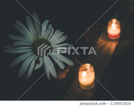 Landscape with Camomile and Candles Landscape with Camomile and Candles 119931926