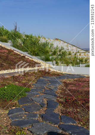 Extensive green ecological living sod roof with root zone waste water sewage treatment plant, sunny summer day Extensive green ecological living sod roof with root zone waste water sewage treatment plant, sunny summer day 119932143