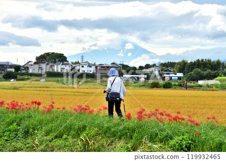 Bright red spider lilies blooming on the Chigasaki Koidegawa Promenade, Mount Fuji, and a female photographer Bright red spider lilies blooming on the Chigasaki Koidegawa Promenade, Mount Fuji, and a female photographer 119932465