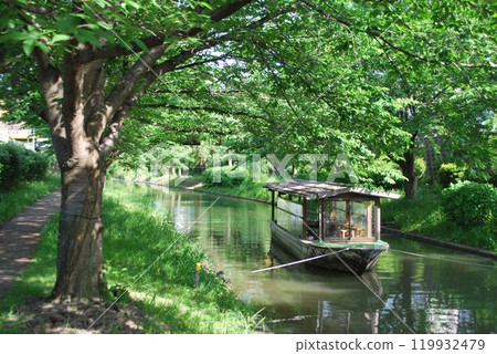 Kyoto Kyoto 119932479