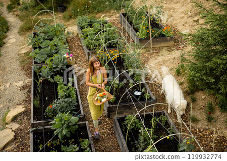 Eco-friendly garden in the mountains Eco-friendly garden in the mountains 119932774