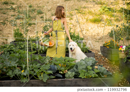 Woman with her dog in eco-friendly garden 119932796