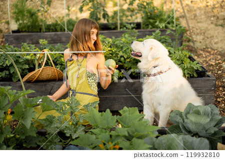 Woman with her dog in eco-friendly garden 119932810
