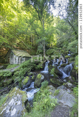 Water wheel mill (Moulin de Chambeuil) with waterfalls, Laveissiere, Cantal, Auvergne-Rhone-Alpes, France 119932863