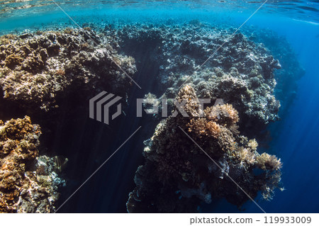 Reef with corals and rocks underwater in transparent ocean at West Bali. 119933009