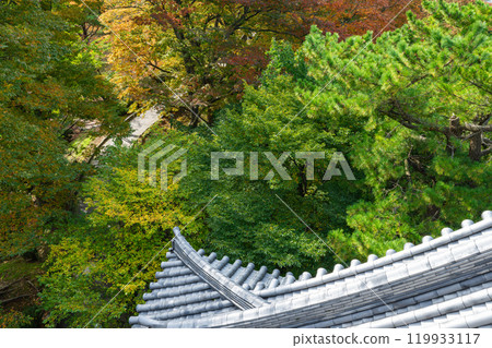 城堡屋頂和秋葉 城堡屋頂和秋葉 119933117