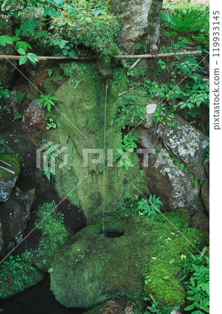The moss-covered Tsukubai of Gohodo Benzaiten The moss-covered Tsukubai of Gohodo Benzaiten 119933145