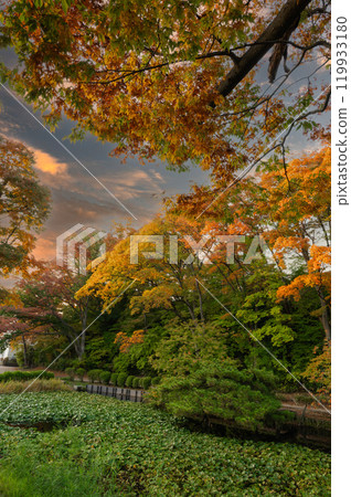 Reflection of the moat at Senshu Park 119933180