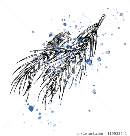 Hand drawn winter season illustration with hand drawn pine branch and bird sitting. Graphics clipart on watercolor splash. Silhouette of nature, wild life bird on tree for label, concept logo design Hand drawn winter season illustration with hand drawn pine branch and bird sitting. Graphics clipart on watercolor splash. Silhouette of nature, wild life bird on tree for label, concept logo design 119933341