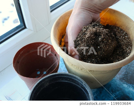 hand mixing dry mixed soil in flower pot on windowsill, making soil composition for growing seedlings and indoor flowers, adding vermiculite and fertilizer granules to potting soil hand mixing dry mixed soil in flower pot on windowsill, making soil composition for growing seedlings and indoor flowers, adding vermiculite and fertilizer granules to potting soil 119933684