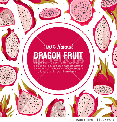 Pitaya or Dragon Fruit Banner Design with Tropical Plant Vector Template Pitaya or Dragon Fruit Banner Design with Tropical Plant Vector Template 119933685