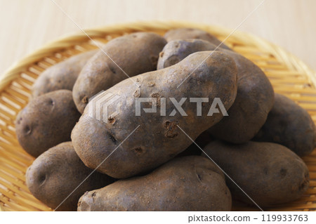 暗影女王 暗影女王 119933763