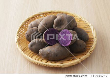 Shadow Queen 119933767