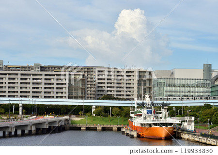 百合海鷗跑過青海碼頭公園 119933830