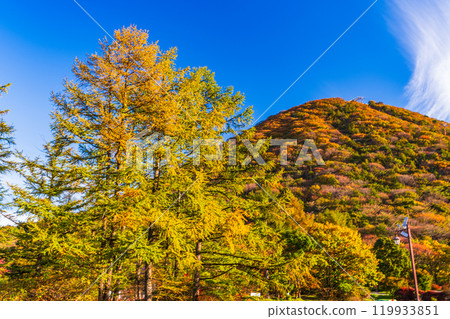 [Gunma Prefecture] Mt. Haruna seen from Prefectural Haruna Park in Autumn 119933851