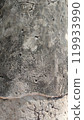 Close-up of textured concrete surface, showcasing natural wear and unique patterns. 119933990