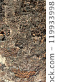 Textured rock surface with natural patterns, suitable for backgrounds. 119933998