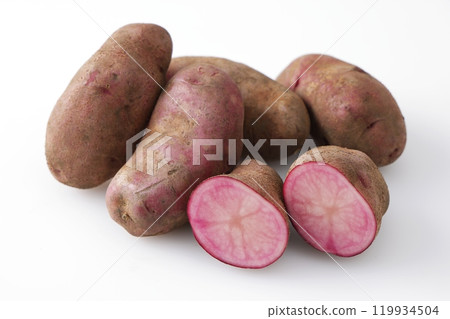 Northern Ruby Northern Ruby 119934504