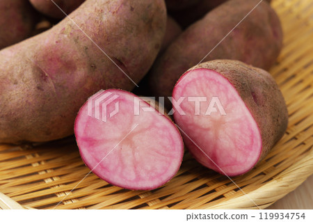 Northern Ruby Northern Ruby 119934754