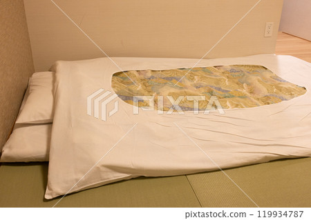 Japanese-style room futon in a hotel Japanese-style room futon in a hotel 119934787