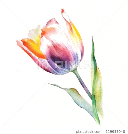 Bright flower on white background. Watercolor style Realistic art. 119935048