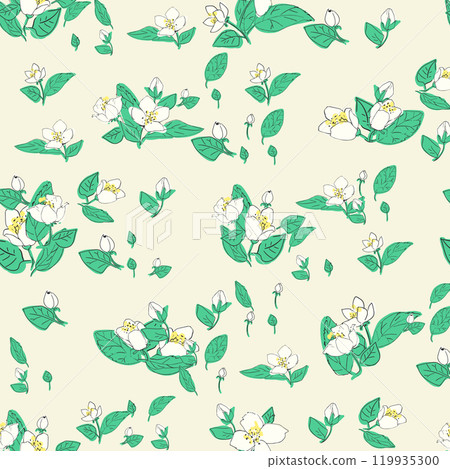 Seamless vector pattern with jasmine flowers. Floral background 119935300