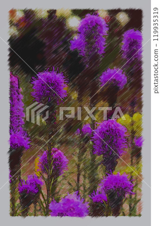 紫色蓬鬆的花朵 紫色蓬鬆的花朵 119935319