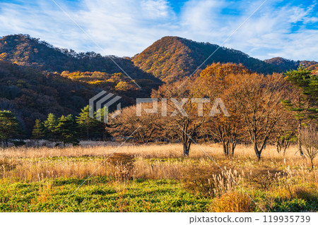 [Gunma Prefecture] Autumn scenery of Mt. Haruna and Numahara in the early morning 119935739