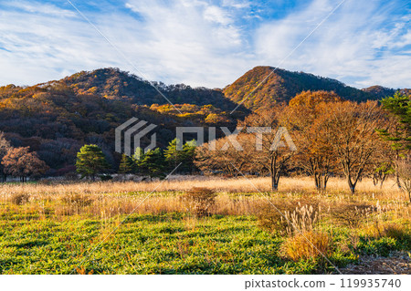[Gunma Prefecture] Autumn scenery of Mt. Haruna and Numahara in the early morning 119935740