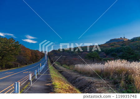 [Gunma Prefecture] Autumn scenery of Mt. Haruna and Numahara in the early morning 119935748