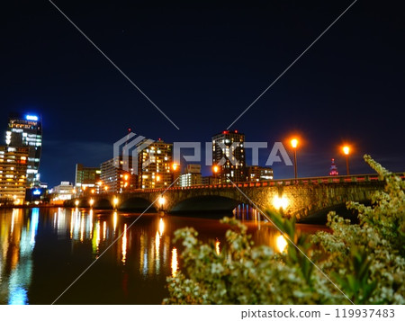 View of cherry blossoms and Bandai Bridge at night, Niigata City, Niigata Prefecture 119937483