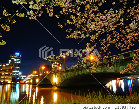View of cherry blossoms and Bandai Bridge at night, Niigata City, Niigata Prefecture 119937486