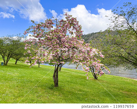 Beautiful scenery on the Loire. North of France Beautiful scenery on the Loire. North of France 119937659