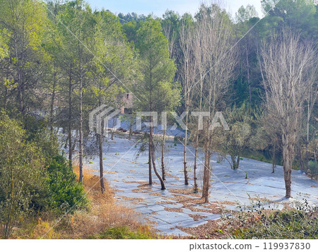 Lake Albbufera at sunset. Spain. Valencia 119937830