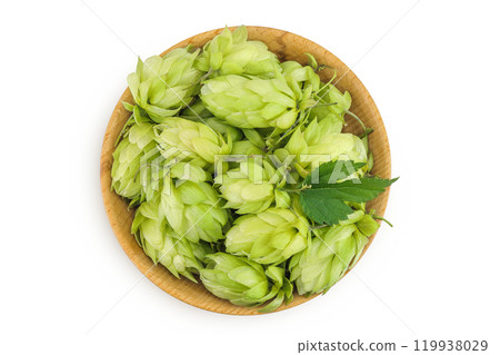 Hop cones in wooden bowl isolated on white background. Beer brewing ingredients. Top view. Flat lay 119938029