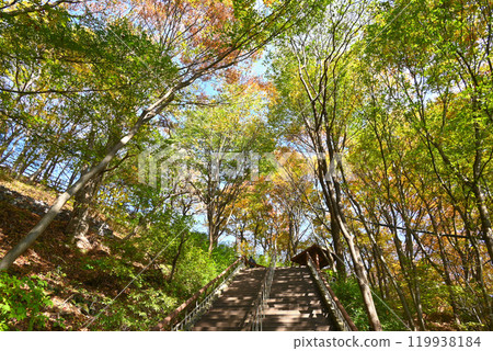 World Heritage Site/Namhansanseong Fortress Autumn Hiking Trail [Seongnam City, Korea] 119938184