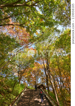 世界遺產/南漢山城秋季登山路線 [韓國/城南市] 119938185