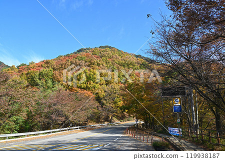 秋季前往南漢山城的道路和巴士站 [韓國/城南市] 119938187