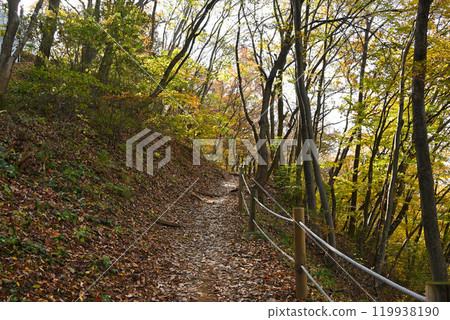 世界遺產/南漢山城秋季登山路線 [韓國/城南市] 119938190