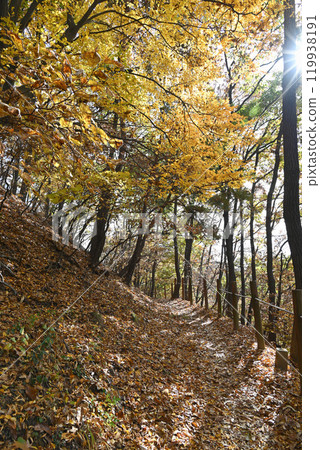 世界遺產/南漢山城秋季登山路線 [韓國/城南市] 119938191