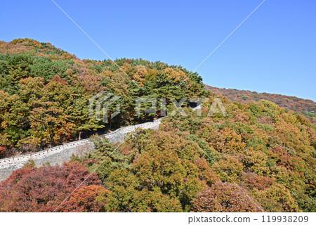 World Heritage Site/Namhansanseong Fortress: Autumn leaves and castle grounds [Korea/Gyeonggi-do] 119938209