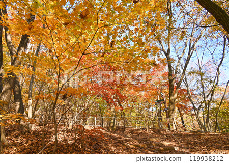 World Heritage Site/Namhansanseong Fortress Autumn Walking Path [Korea/Gyeonggi-do] 119938212
