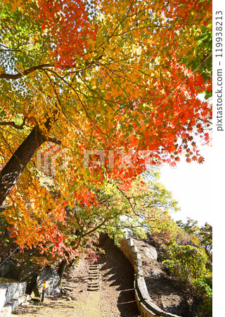 世界遺產/南漢山城秋季步道 [韓國/京畿道] 119938213