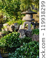 Shrine lanterns and plants 119938299