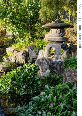 神社的燈籠與植物 神社的燈籠與植物 119938299