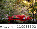 Red bridge, pond and autumn leaves 119938302