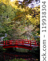 Red bridge, pond and autumn leaves 119938304