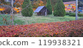 With autumn leaves 119938321