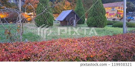 With autumn leaves With autumn leaves 119938321